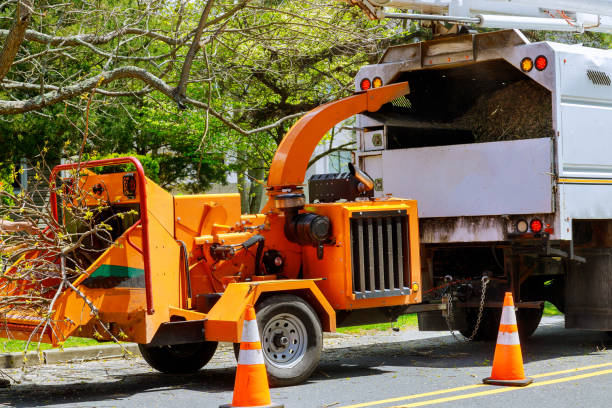 Best Commercial Tree Services  in Oceano, CA